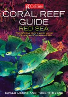 Coral Reef Guide: Red Sea: The Definitive Guide to Over 1200 Species of Underwater Life