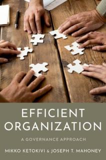 Efficient Organization: A Governance Approach