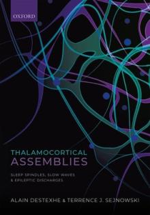 Thalamocortical Assemblies: Sleep Spindles, Slow Waves and Epileptic Discharges