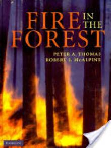 Fire in the Forest
