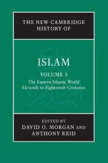 The Eastern Islamic World V3: Eleventh to Eighteenth Centuries
