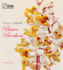 The Bauer Brothers: Images of Nature