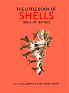 Little Book of Shells