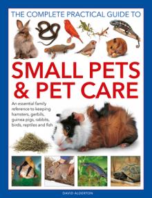 The Complete Practical Guide to Small Pets and Pet Care: An Essential Family Reference to Keeping Hamsters, Gerbils, Guinea Pigs, Rabbits, Birds, Rept