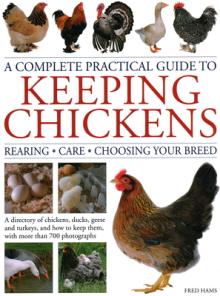 A Complete Practical Guide to Keeping Chickens: A Directory of Chickens, Ducks, Geese and Turkeys, and How to Keep Them, with More Than 700 Photograph