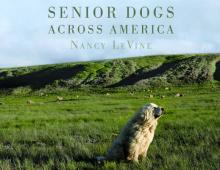 Senior Dogs Across America: Portraits of Man's Best Old Friend