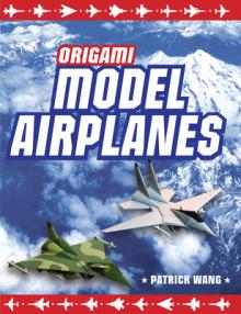 Origami Model Airplanes: Create Amazingly Detailed Model Airplanes Using Basic Origami Techniques!: Origami Book with 23 Designs & Plane Histor