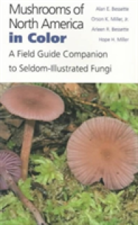 Mushrooms of North America in Color: A Field Guide Companion to Seldom-Illustrated Fungi
