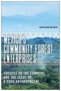 Mexico's Community Forest Enterprises: Success on the Commons and the Seeds of a Good Anthropocene