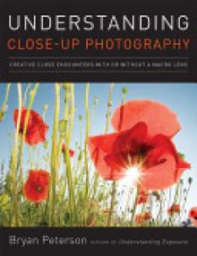 Understanding Close-Up Photography: Creative Close Encounters with or Without a Macro Lens