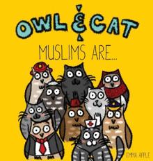 Owl & Cat: Muslims Are...