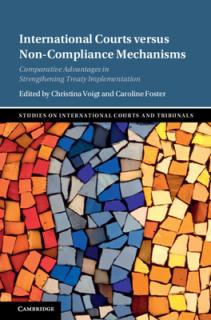 International Courts Versus Non-Compliance Mechanisms: Comparative Advantages in Strengthening Treaty Implementation