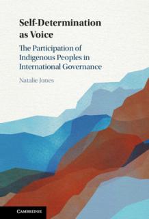 Self-Determination as Voice: The Participation of Indigenous Peoples in International Governance