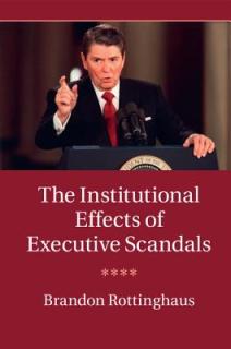 The Institutional Effects of Executive Scandals