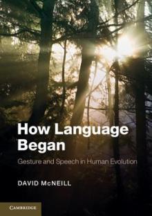 How Language Began: Gesture and Speech in Human Evolution