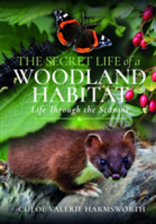The Secret Life of a Woodland Habitat: Life Through the Seasons