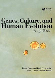 Genes Culture Human Evolution C