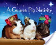 Guinea Pig Nativity