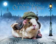 Guinea Pig Oliver Twist