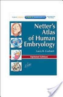 Netter's Atlas of Human Embryology: Updated Edition