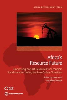The Future of Resources in Africa: The Role of Extractives for Transformation Under the Carbon Transition