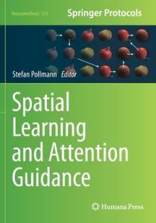 Spatial Learning and Attention Guidance