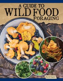 A Guide to Wild Food Foraging: Proper Techniques for Finding and Preparing Nature's Flavorful Edibles