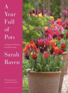 A Year Full of Pots: Container Flowers for All Seasons