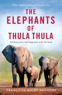 Elephants of Thula Thula