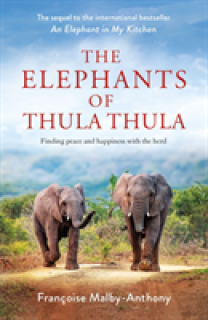 Elephants of Thula Thula