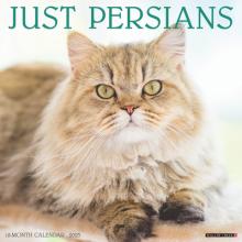 Just Persians 2023 Wall Calendar