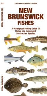 New Brunswick Fishes: A Waterproof Folding Guide to Native and Introduced Freshwater Species