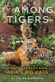 Among Tigers: Fighting to Bring Back Asia's Big Cats