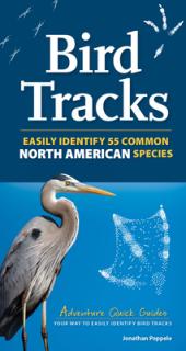 Bird Tracks: Includes 55 North American Species