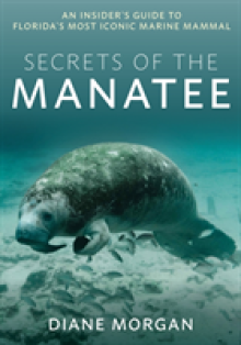 Secrets of the Manatee: An Insider's Guide to Florida's Most Iconic Marine Mammal