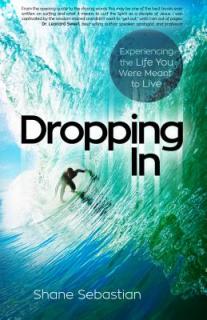 Dropping in: Experience the Life You Were Meant to Live