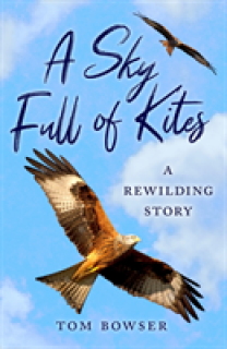 A Sky Full of Kites: A Rewilding Story