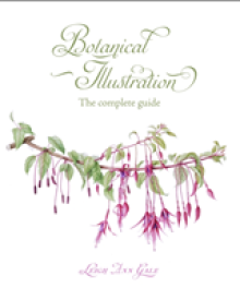 Botanical Illustration: The Complete Guide