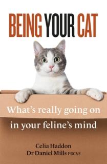Being Your Cat: What's Really Going on in Your Feline's Mind