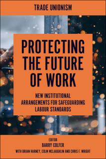 Protecting the Future of Work: New Institutional Arrangements for Safeguarding Labour Standards