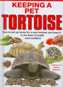 Keeping a Pet Tortoise