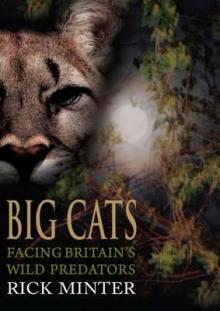 Big Cats: Facing Britain's Wild Predators