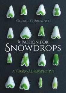 A Passion for Snowdrops: A Personal Perspective