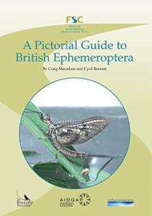 Pictorial Guide to British Ephemeroptera