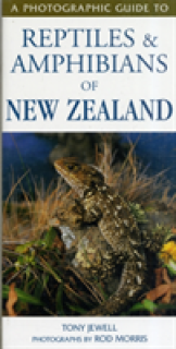 Photographic Guide To Reptiles & Amphibians Of New Zealand