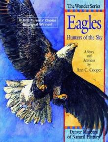 Eagles: Hunters of the Sky: A Story and Activities
