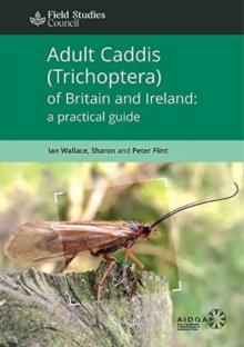 Adult Caddis (Trichoptera) of Britain and Ireland: a practical guide