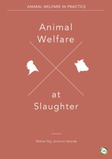 Animal Welfare at Slaughter