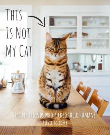 This Is Not My Cat: Feline Friends Who Picked Their Humans