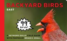 Backyard Birds: East